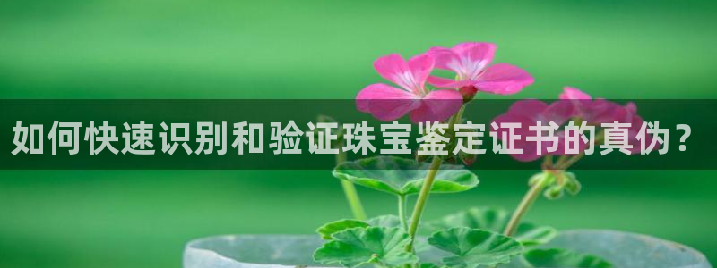 众腾娱乐总代理