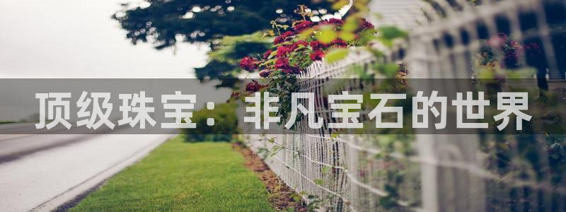 众腾娱乐