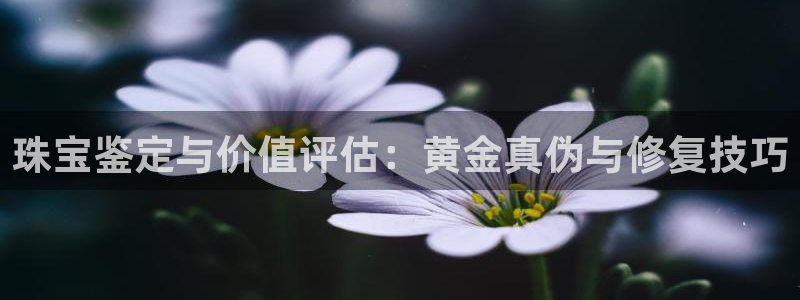 内蒙古众腾娱乐文化法人