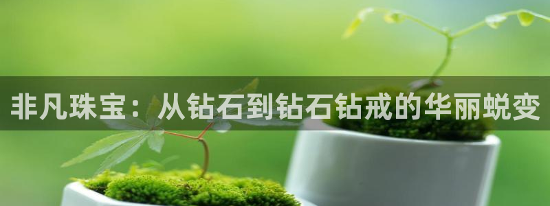 云南众腾娱乐