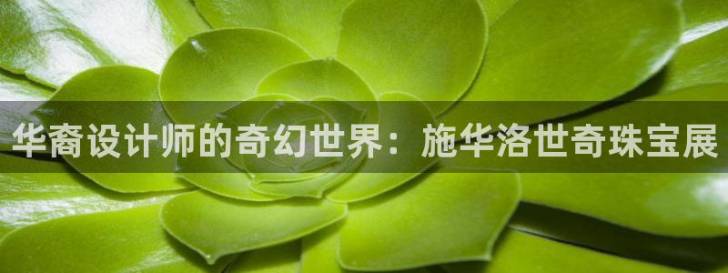 楚雄众腾娱乐在哪里