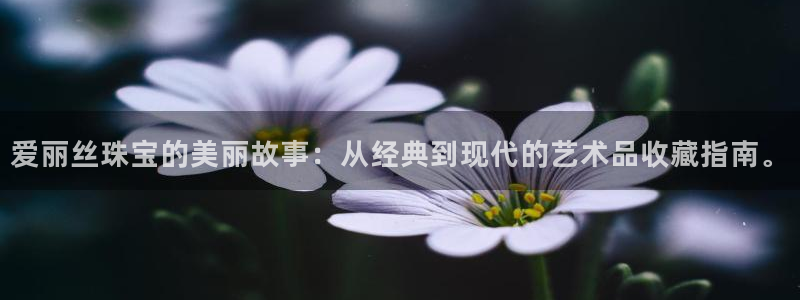 众腾娱乐平台官网入口