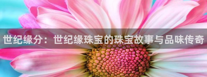 楚雄众腾娱乐在哪里