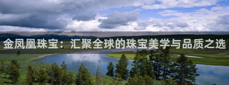 众腾娱乐app