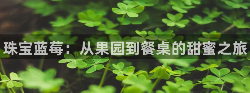腾耀3娱乐众123