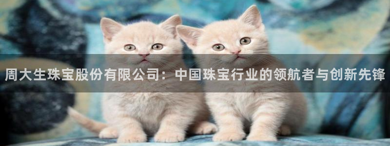 腾耀娱乐众推55312：周大生珠宝股份有限公司：中国珠宝行业