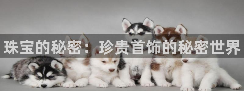 众腾娱乐得7O777