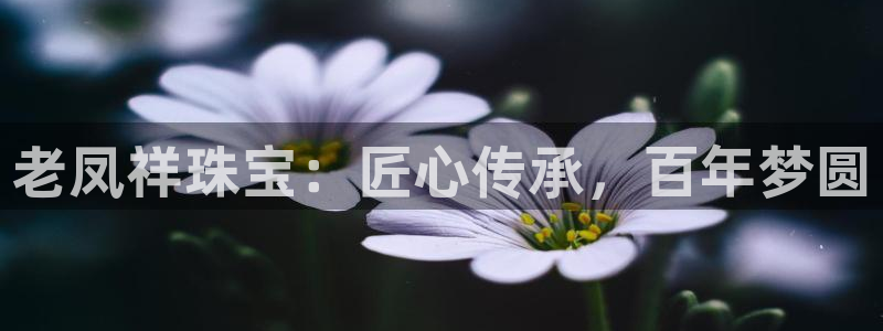 腾耀娱乐众推55312
