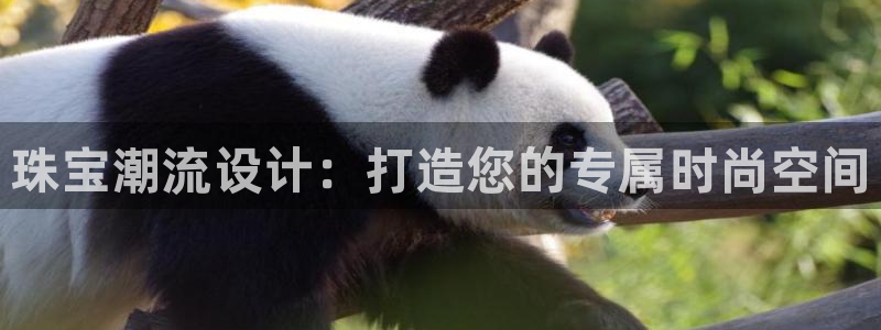 众腾娱乐app