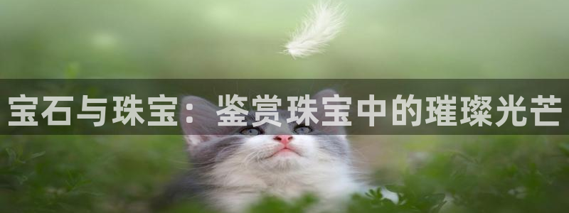 众腾娱乐招商：宝石与珠宝：鉴赏珠宝中的璀璨光芒