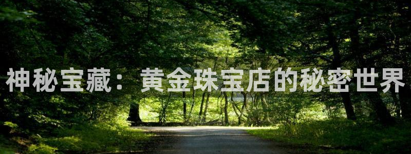 腾众娱乐是什么：神秘宝藏：黄金珠宝店的秘密世界