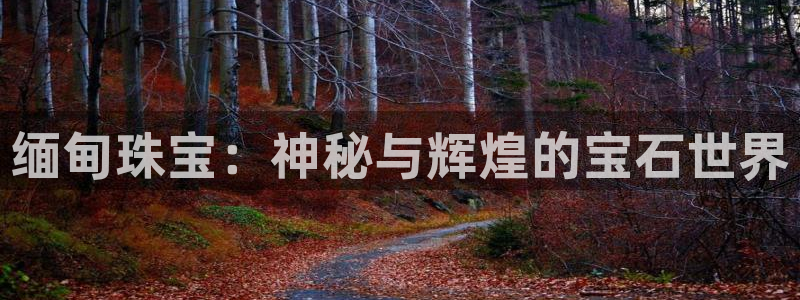 腾众娱乐彩票：缅甸珠宝：神秘与辉煌的宝石世界