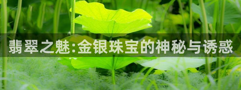 云南众腾娱乐：翡翠之魅:金银珠宝的神秘与诱惑
