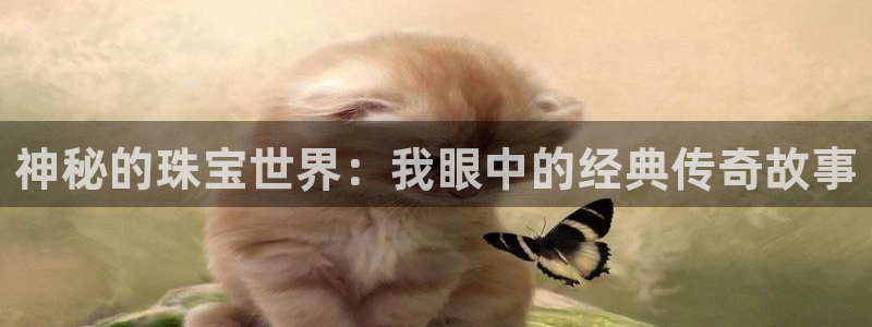 楚雄众腾娱乐