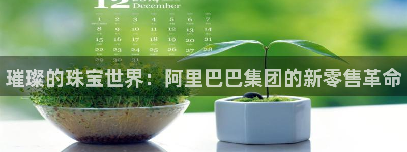 众腾娱乐毕 7O935：璀璨的珠宝世界：阿里巴巴集团的新零售