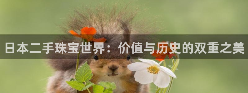 众腾娱乐平台下载：日本二手珠宝世界：价值与历史的双重之美