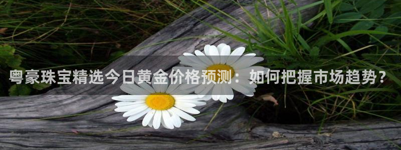 腾众娱乐彩票：粤豪珠宝精选今日黄金价格预测：如何把握市场趋势