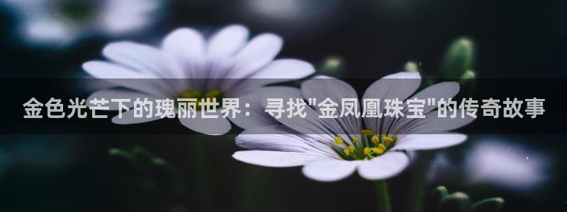 楚雄众腾娱乐是干什么的