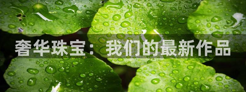 众腾娱乐文化怎么样：奢华珠宝：我们的最新作品