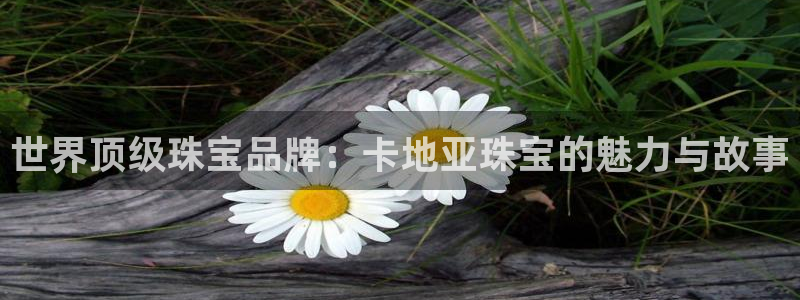 腾耀娱乐众推55312：世界顶级珠宝品牌：卡地亚珠宝的魅力与