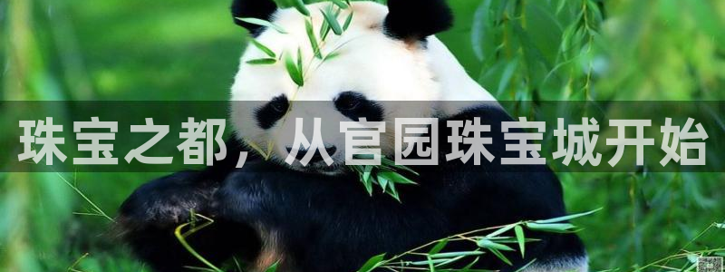 包头众腾娱乐密室逃脱：珠宝之都，从官园珠宝城开始