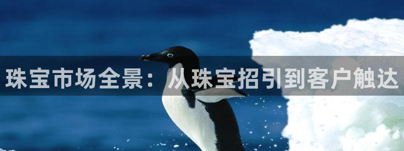 众联别墅g座上腾娱乐有限公司：珠宝市场全景：从珠宝招引到客户