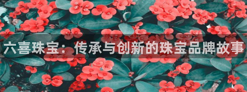 云南众腾娱乐