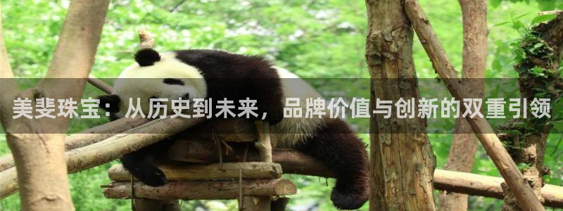 众腾娱乐平台群7O777：美斐珠宝：从历史到未来，品牌价值与