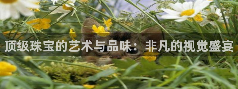 腾耀3娱乐众推8 28