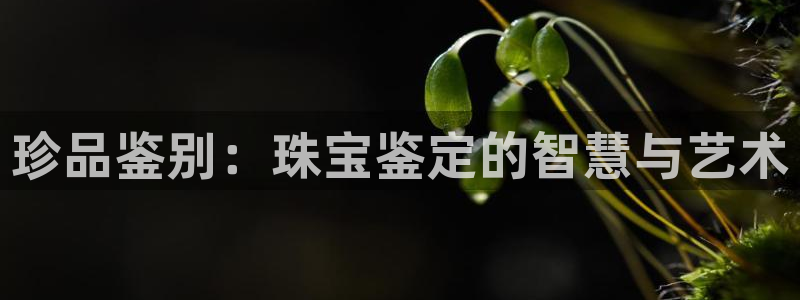 楚雄众腾娱乐