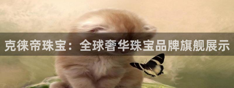 腾众娱乐彩票