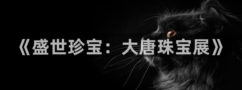众联别墅g座上腾娱乐有限公司