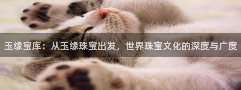众腾娱乐总代理
