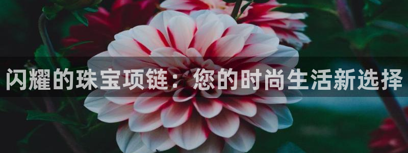 众腾娱乐毕 7O935