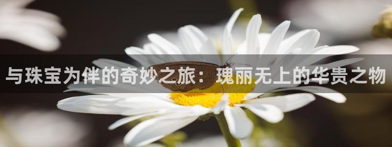 众腾娱乐公司简介