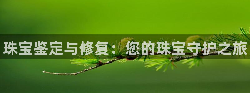 众腾娱乐招商