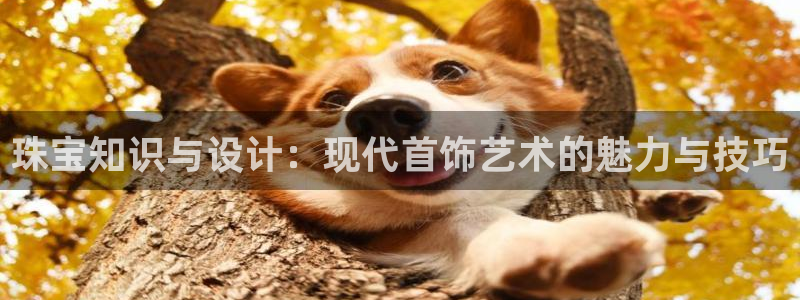 众腾娱乐梦幻演艺店