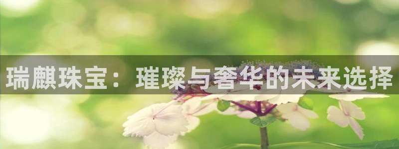 众腾娱乐app