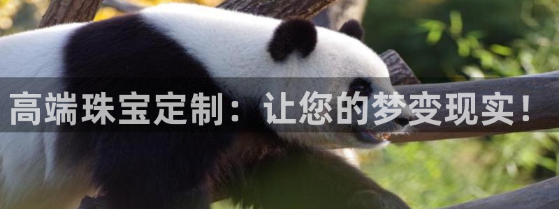 众腾娱乐梦幻演艺店