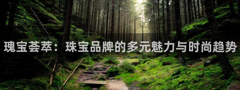 楚雄众腾娱乐在哪里