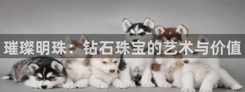 众腾娱乐代理怎么样