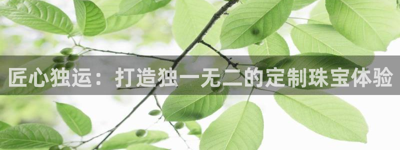 众腾娱乐登入探索无限空间