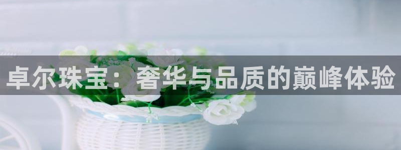 众腾娱乐平台下载：卓尔珠宝：奢华与品质的巅峰体验