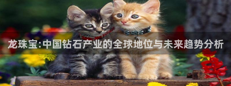 众腾娱乐官方客服电话