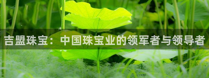 众腾娱乐博彩