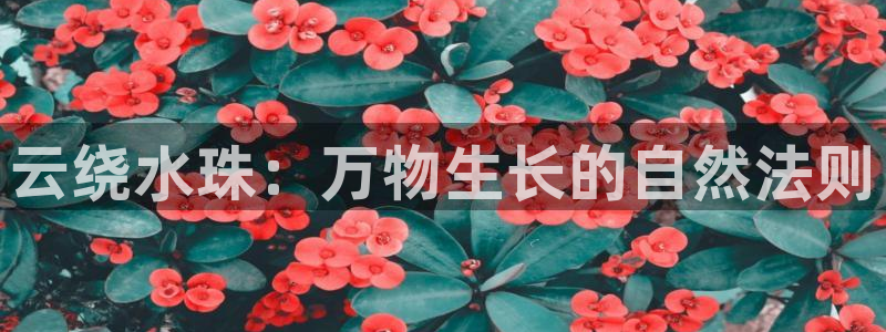 腾众娱乐