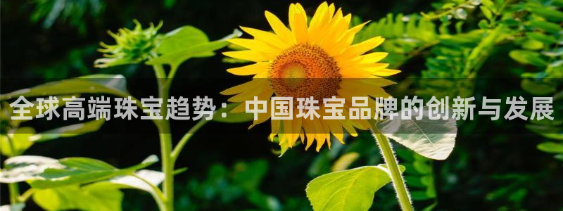 众腾娱乐APP下载