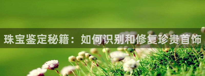 众腾娱乐博彩