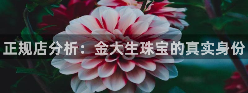 腾耀3娱乐众123