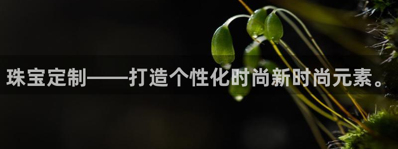 众腾娱乐邵阳